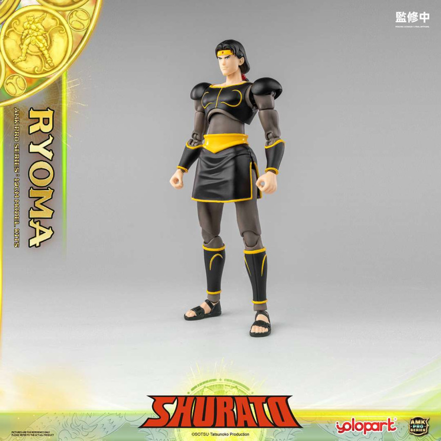  AMK PRO X õ������ ������ - ��� �Ḷ [9���԰��Ϸ�][4897131753631]