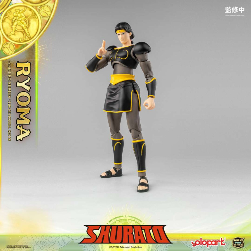  AMK PRO X õ������ ������ - ��� �Ḷ [9���԰��Ϸ�][4897131753631]