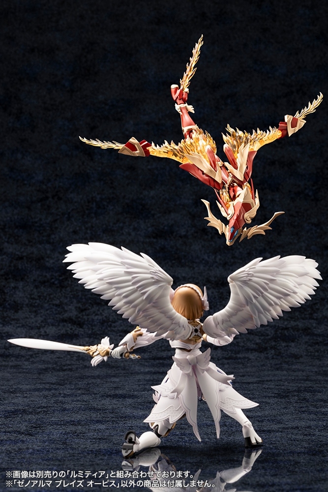 [�Ƹ�ī�����] ����˸� �������� ���ǽ� [1���԰��Ϸ�] [4934054028788]