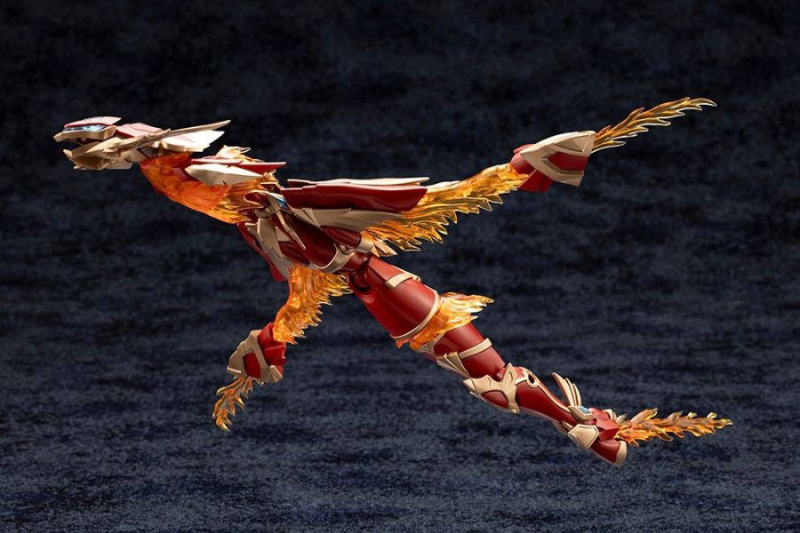 [�Ƹ�ī�����] ����˸� �������� ���ǽ� [1���԰��Ϸ�] [4934054028788]