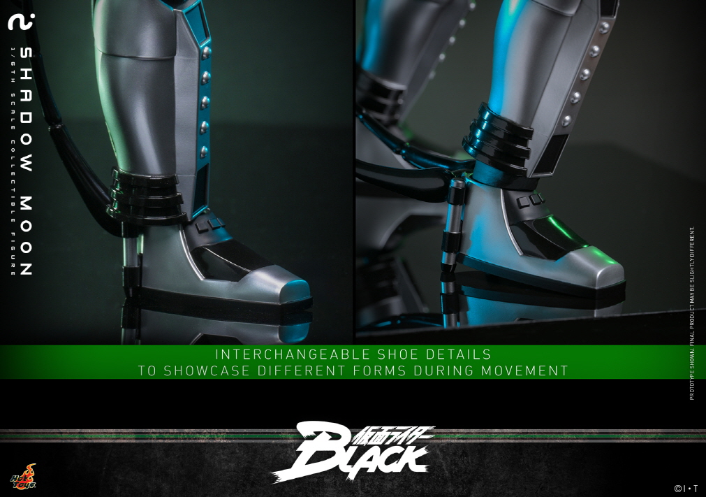 TMS159 1/6 ������̴� ���� - ������ ��