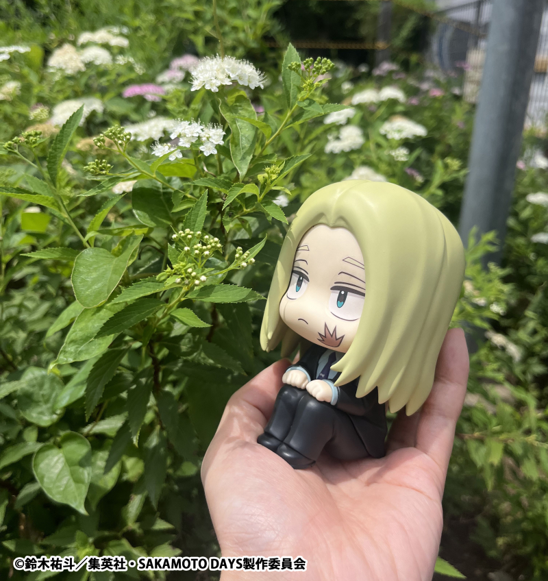 [���] ��ī���� ������ - �ýù� [4535123845987]