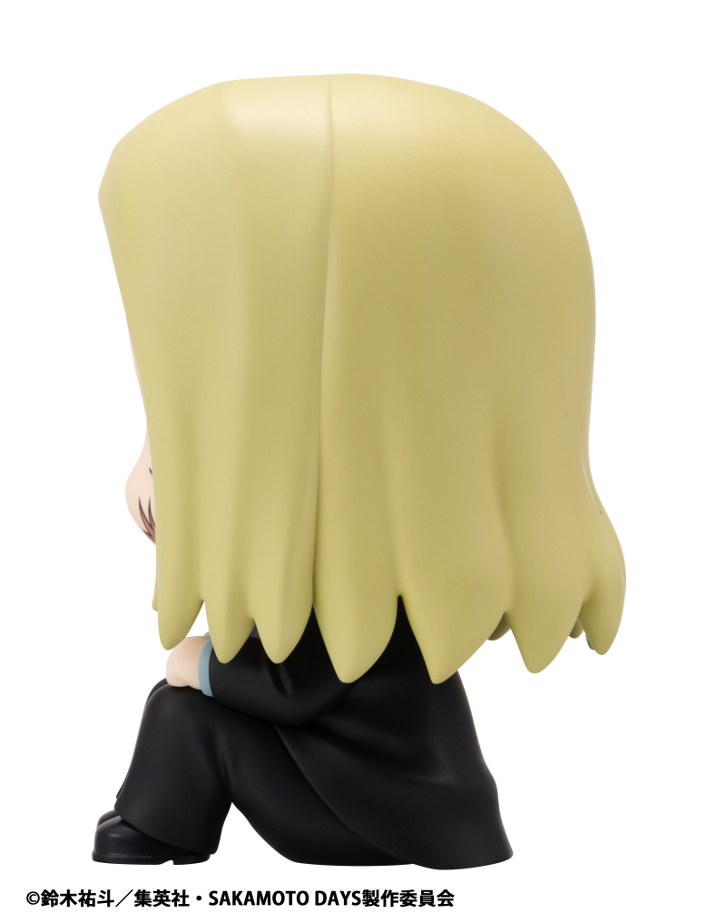 [���] ��ī���� ������ - �ýù� [4535123845987]