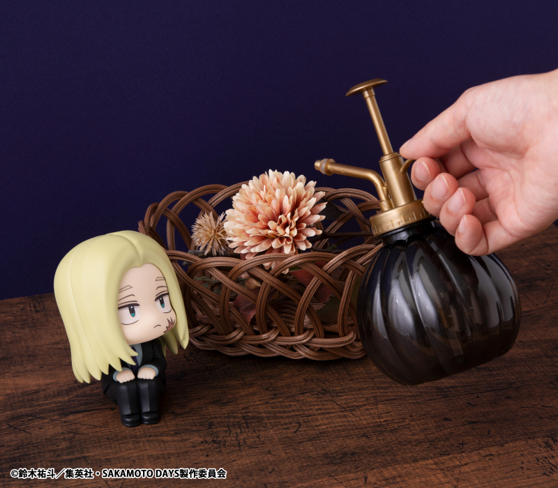 [���] ��ī���� ������ - �ýù� [4535123845987]