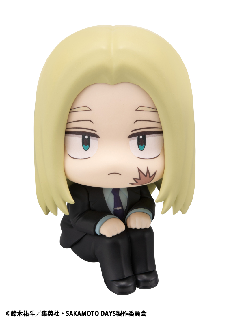 [���] ��ī���� ������ - �ýù� [4535123845987]