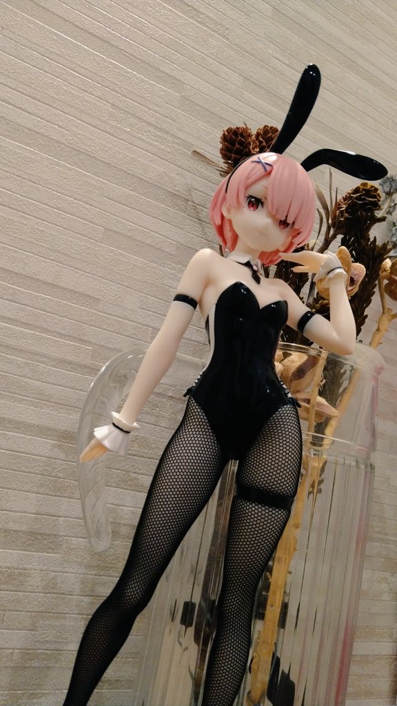 [��ǰ�ǱԾ�] Re:���κ��� �����ϴ� �̼��� ��Ȱ BiCute �ٴ� �ǱԾ� �� bicolor [8���԰��Ϸ�][4582702291475]