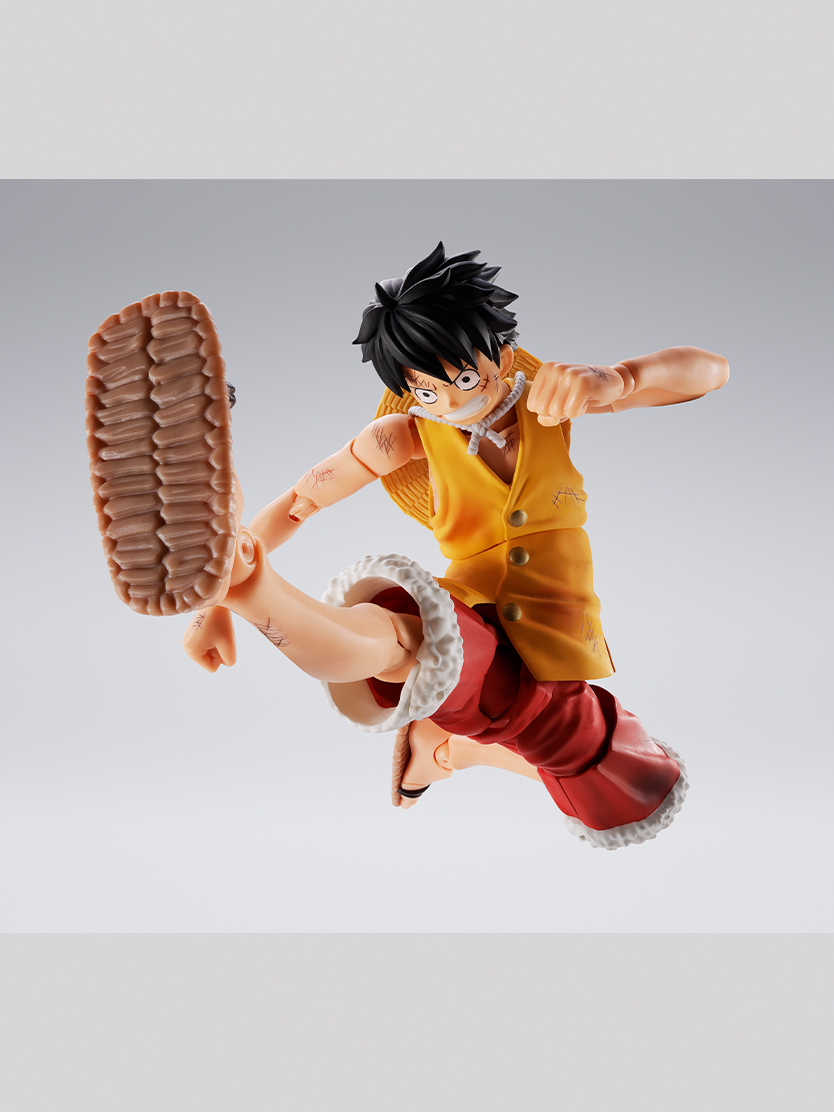 [S.H.Figuarts] ���ǽ� - ��Ű D ���� -�������� �������- [5���԰��Ϸ�] [4573102692979]