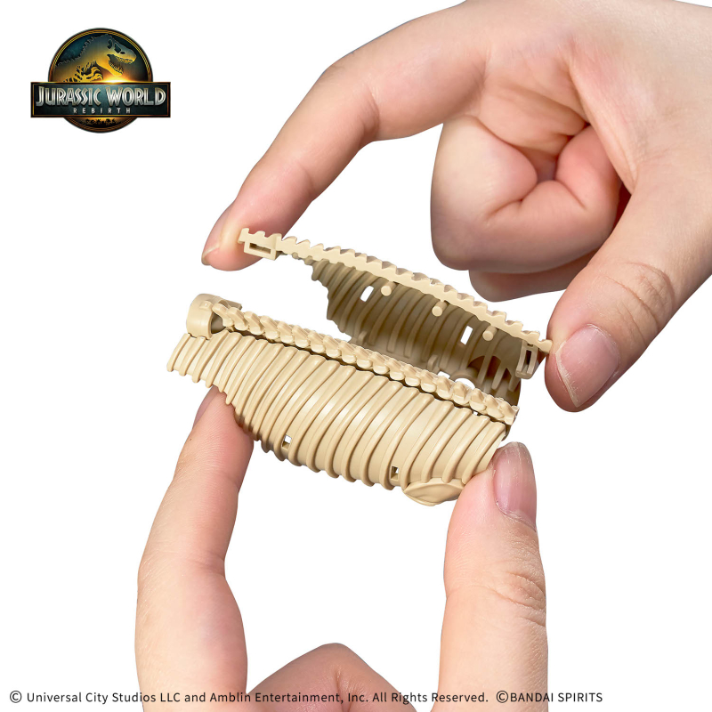 [�������罺] ���� ���� �����罺 [9���԰��Ϸ�] [4573102685742]