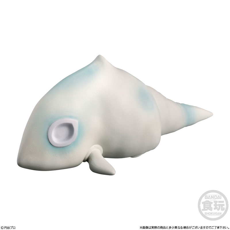 ������ ��� ��Ʈ��� 13ź(1�ڽ�10����) [1���԰��Ϸ�] [4570117925887]