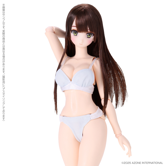 1/6 ī���Ϸ� Ű�� �п� ���� �ݷ��� ���� [10���԰��Ϸ�] [4573199848488]