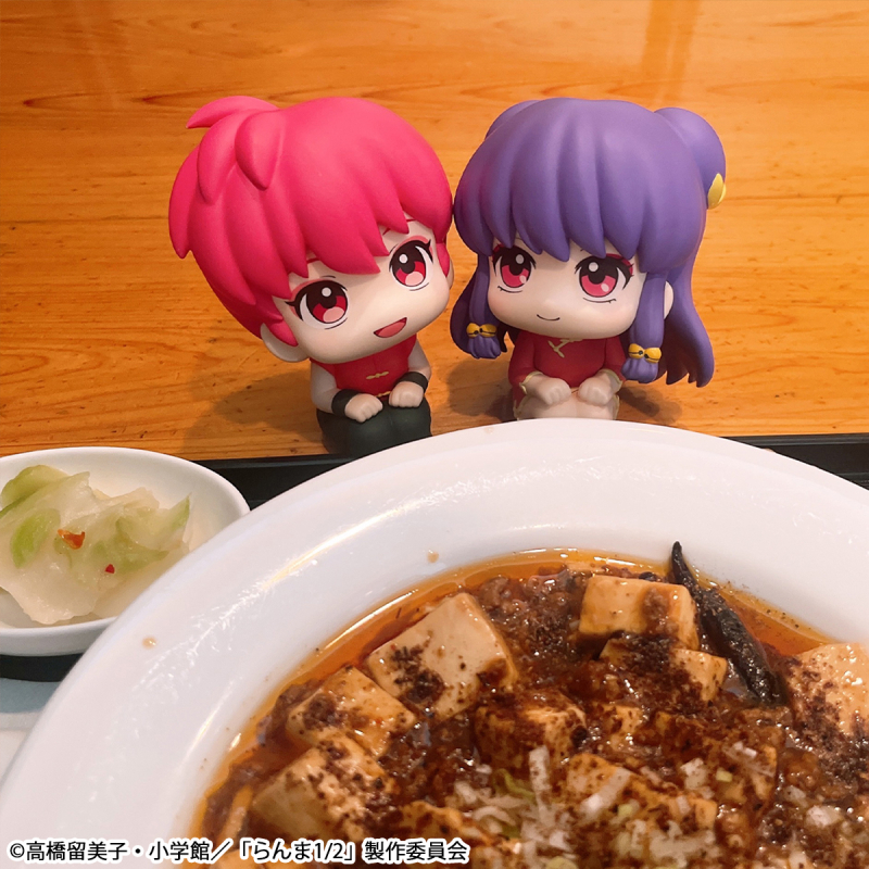 [Ư������] [���] ����1/2 - ������ ����(��)/��Ǫ [4535123847042]