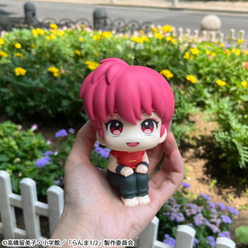 [���] ����1/2 - ������ ����(��) [3���԰��Ϸ�] [4535123847028]