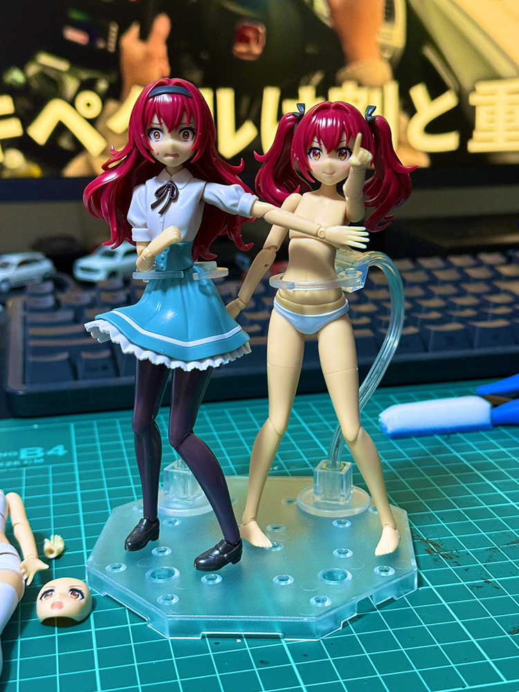 [âä�ҳ�����] �巹���� �ٵ�(S) [9���԰��Ϸ�][4934054030910]