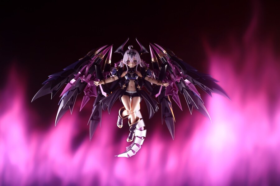 [�Ƹ�ī�����] ���� [3���԰��Ϸ�] [4934054071111]