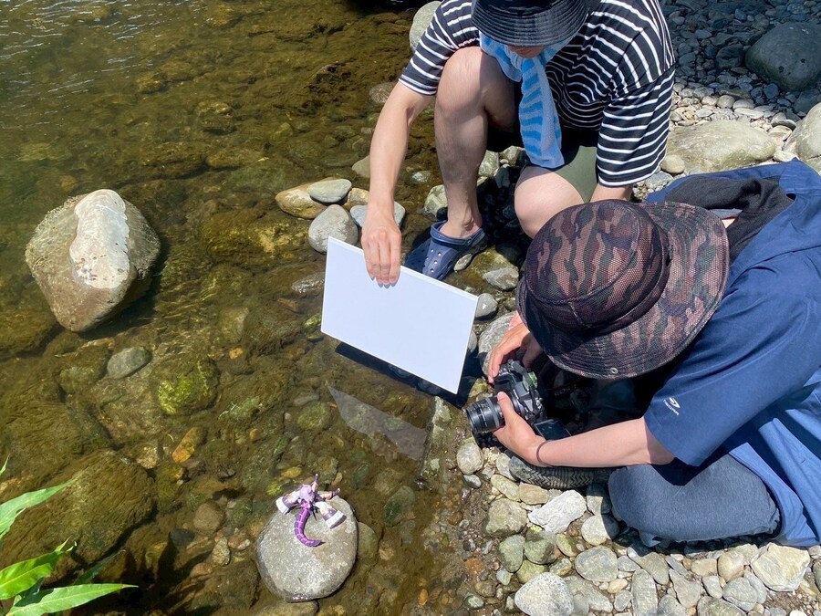 [�Ƹ�ī�����] ���� [3���԰��Ϸ�] [4934054071111]