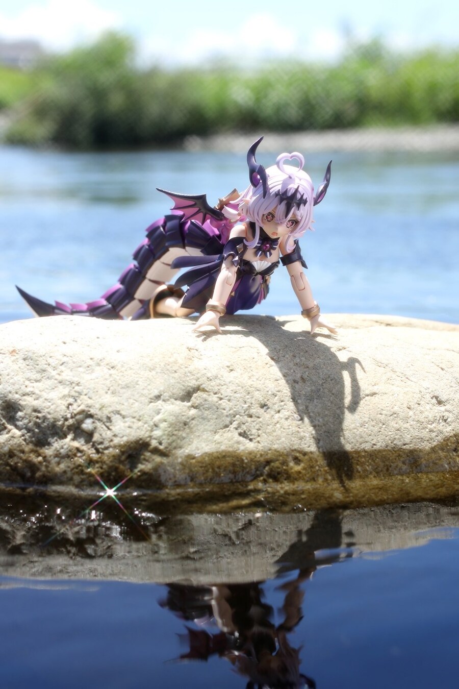 [�Ƹ�ī�����] ���� [3���԰��Ϸ�] [4934054071111]