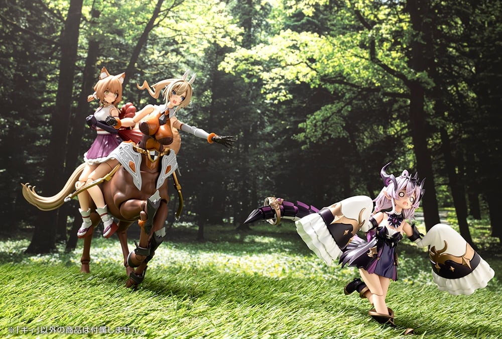 [�Ƹ�ī�����] ���� [3���԰��Ϸ�] [4934054071111]