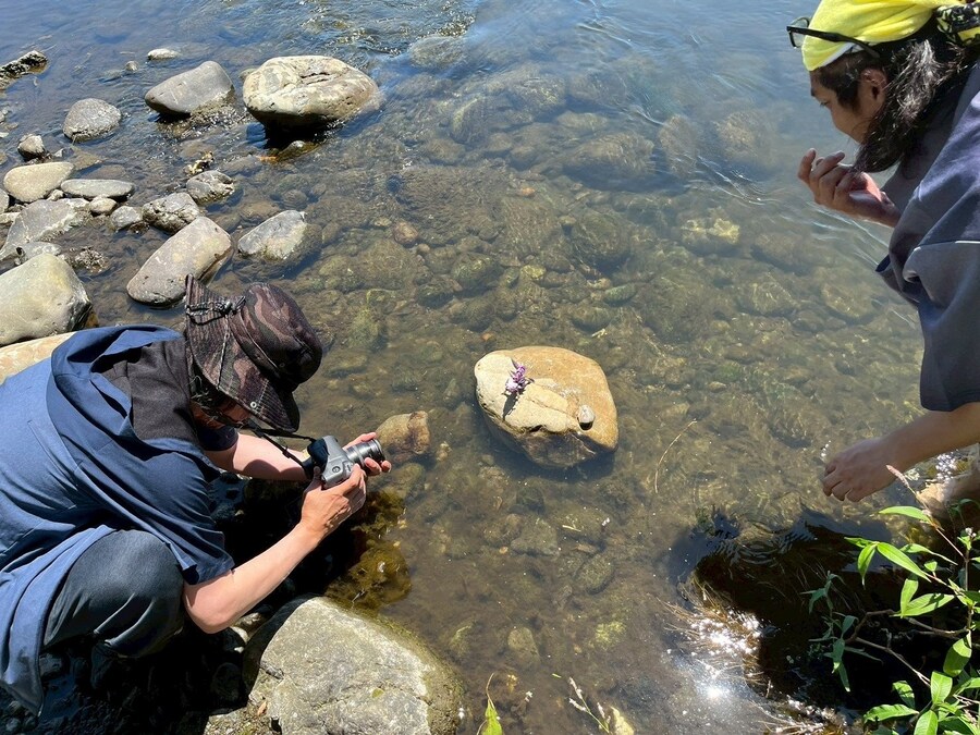 [�Ƹ�ī�����] ���� [3���԰��Ϸ�] [4934054071111]