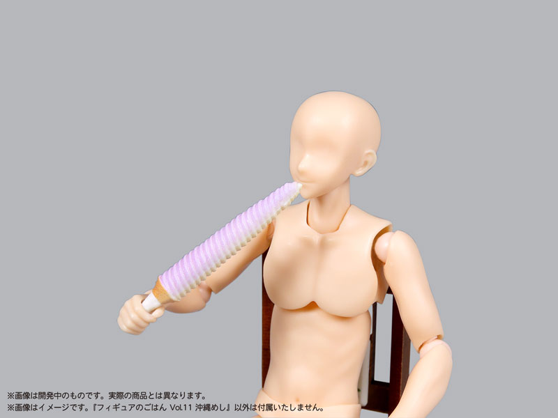 [��������] 1/12 �ǱԾ��� �� Vol.11 [1���԰��Ϸ�] [4580614271677]