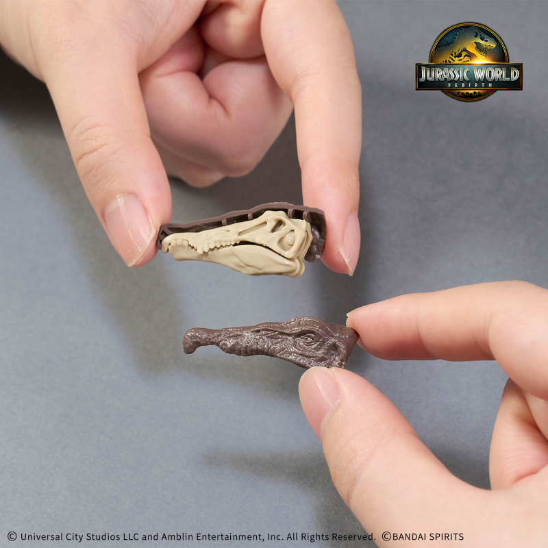 [�������罺] ���� ���� ���ǳ� ���罺 [9���԰��Ϸ�] [4573102687005]