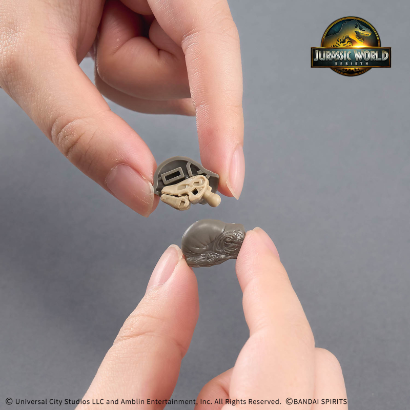 [�������罺] ���� ���� ƼŸ�� ���罺 [9���԰��Ϸ�] [4573102687012]