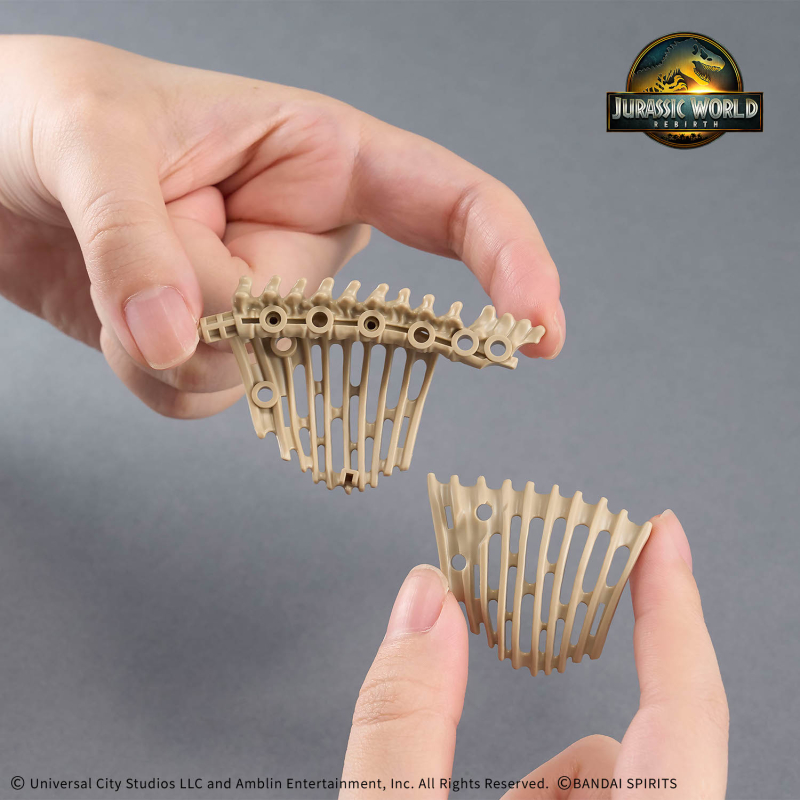 [�������罺] ���� ���� ƼŸ�� ���罺 [9���԰��Ϸ�] [4573102687012]