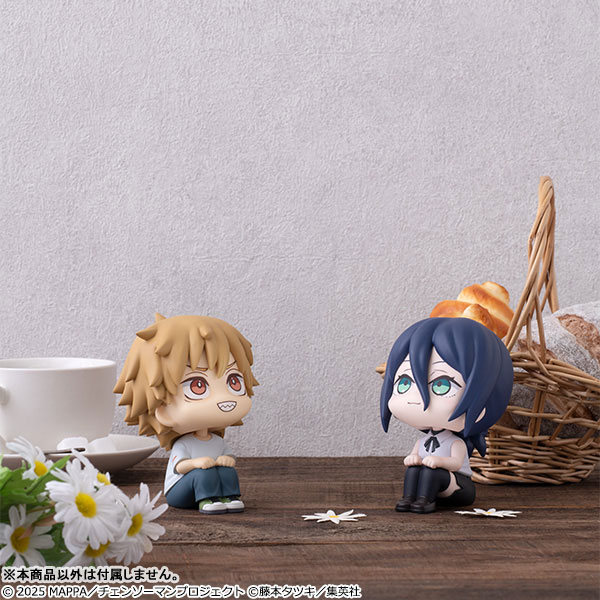 [Ư������] [���] ü�μҸ� ������ - ����/���� [4535123846854]