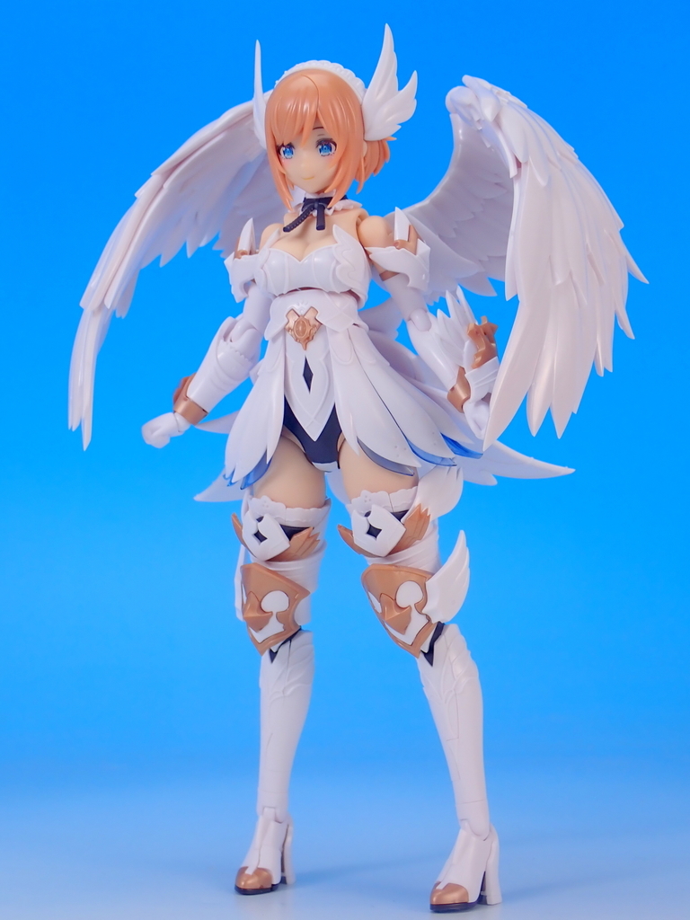 [�Ƹ�ī�����] ���Ƽ�� [3���԰��Ϸ�][4934054038190]