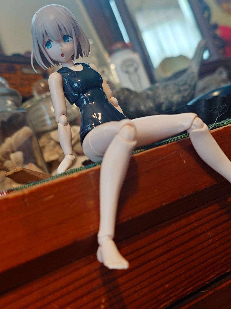 [30MS] ���̵� ������ ���̴� �÷��� - �����ڿ� �ƻ��� [1���԰��Ϸ�] [4573102691637]