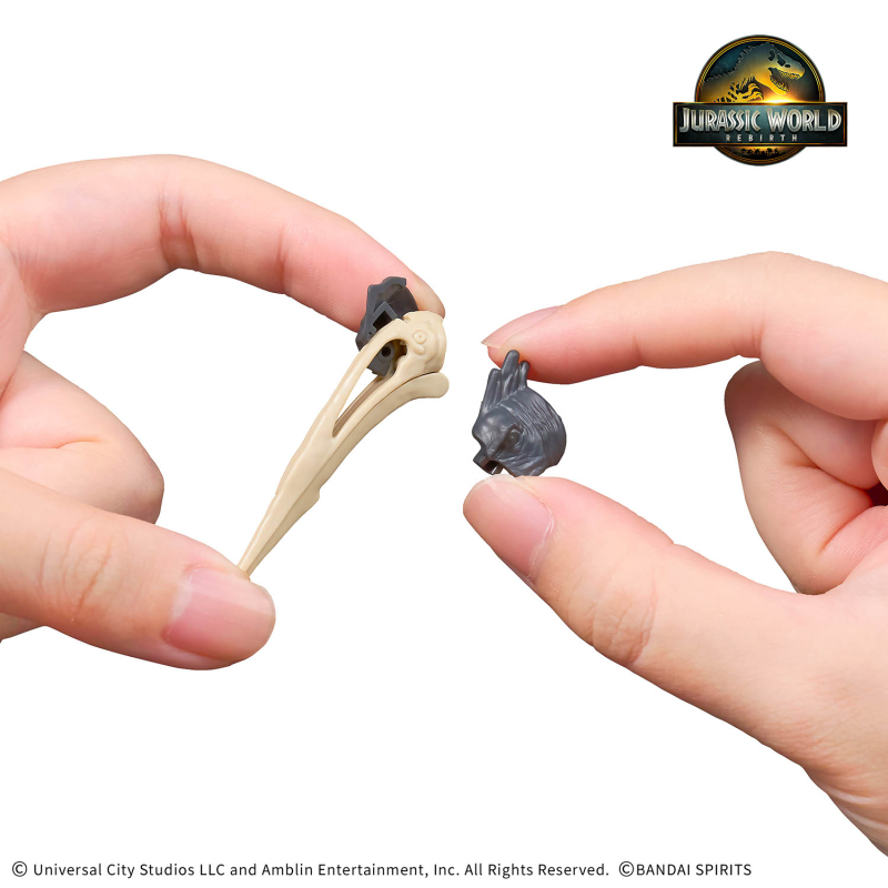 [�������罺] ���� ���� �����ھ�Ʋ�罺 [12���԰��Ϸ�] [4573102688675]