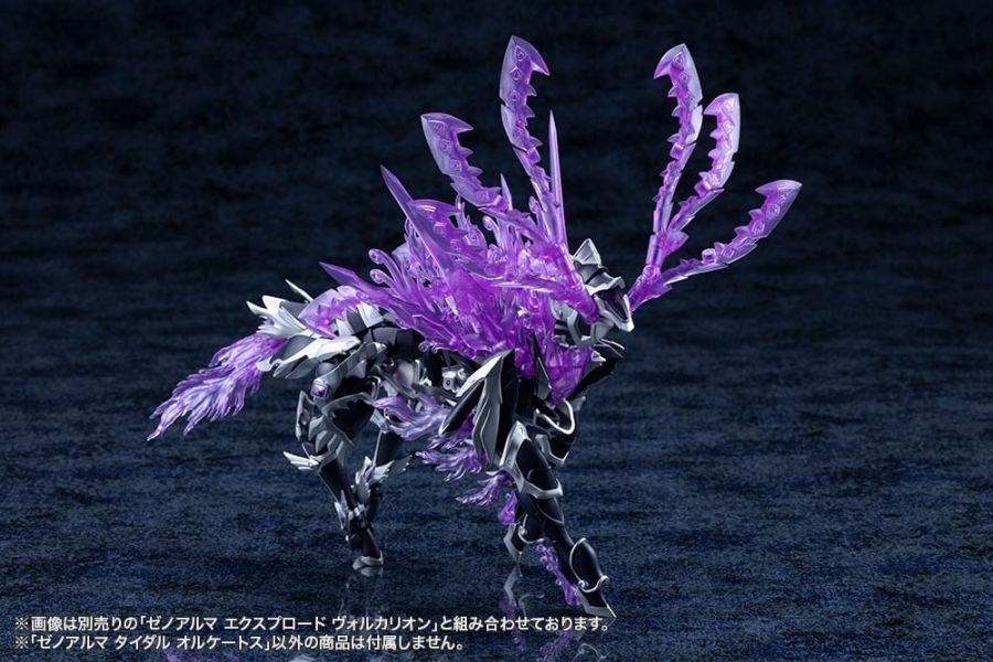 [����] [�Ƹ�ī�����] ����˸� Ÿ�̴� ���������佺 [4934054076024]