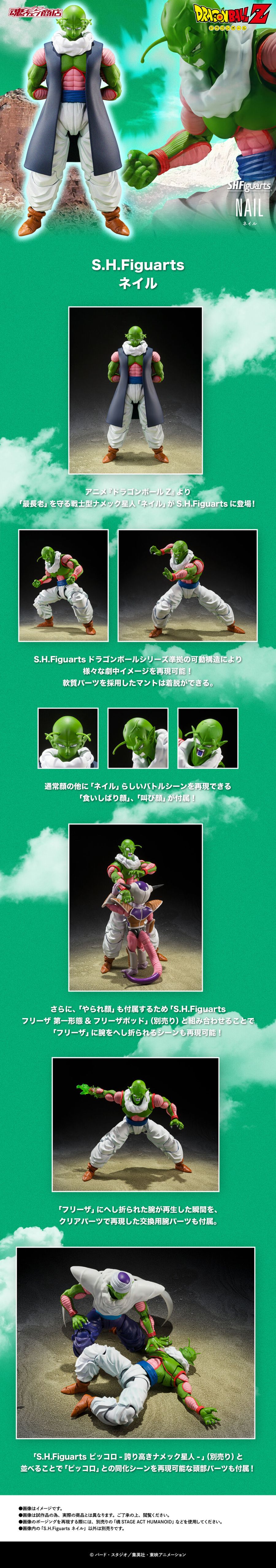 [S.H.Figuarts] �巡�ﺼZ - ���� [12���԰��Ϸ�] [4573102687463]