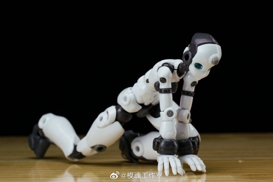 1/12 �����ڰ��� �ø��� �˹ٵ� [3���԰��Ϸ�] [6977976610059]