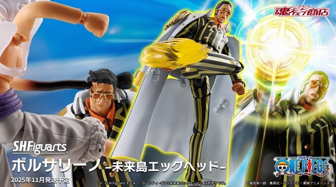 [S.H.Figuarts] ���ǽ� ���縮�� -�̷��� �������- [12���԰��Ϸ�] [4573102687425]