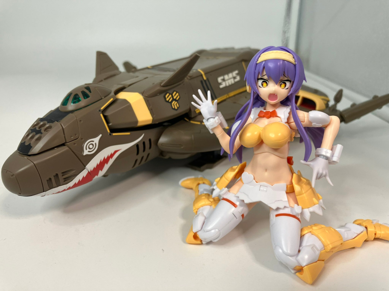 V.F.G ��ũ�ν� ����Ƽ�� - ����� ���� [1���԰��Ϸ�] [4905083201176]