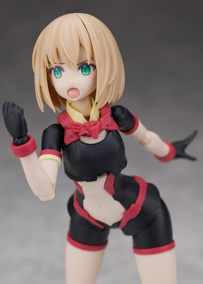 [30MS] Ƽ�ƻ� �޸��� ���� �÷�B [12���԰��Ϸ�][4573102691767]