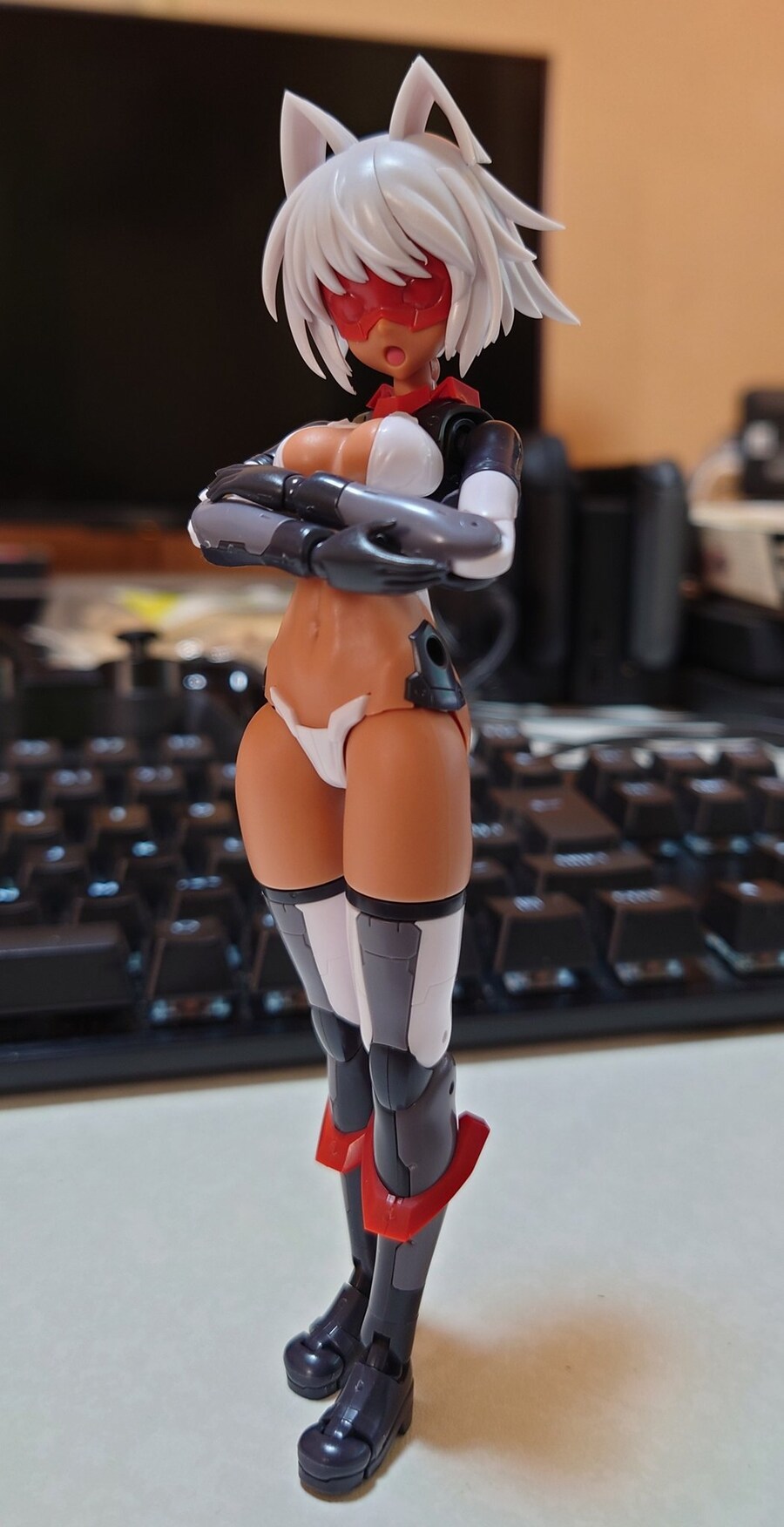 [�����Ӿ����] �Ű� [1���԰��Ϸ�] [4934054033911]