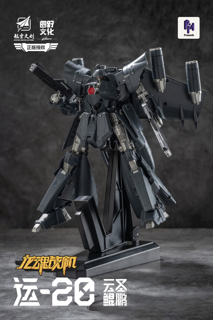 [����] ��ȥ���� Y-20 � ���