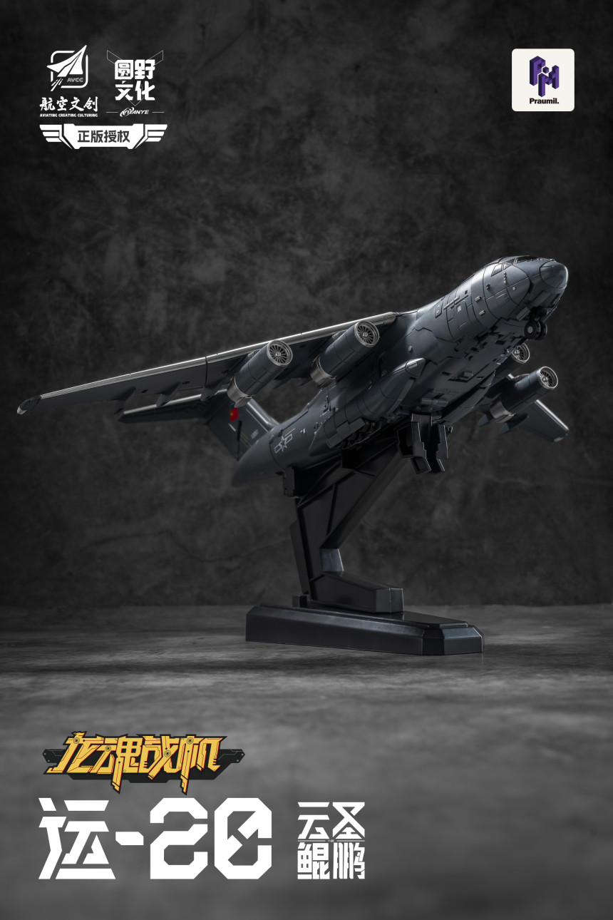 [����] ��ȥ���� Y-20 � ���