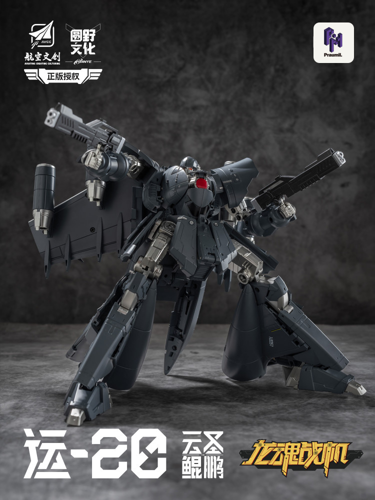 [����] ��ȥ���� Y-20 � ���