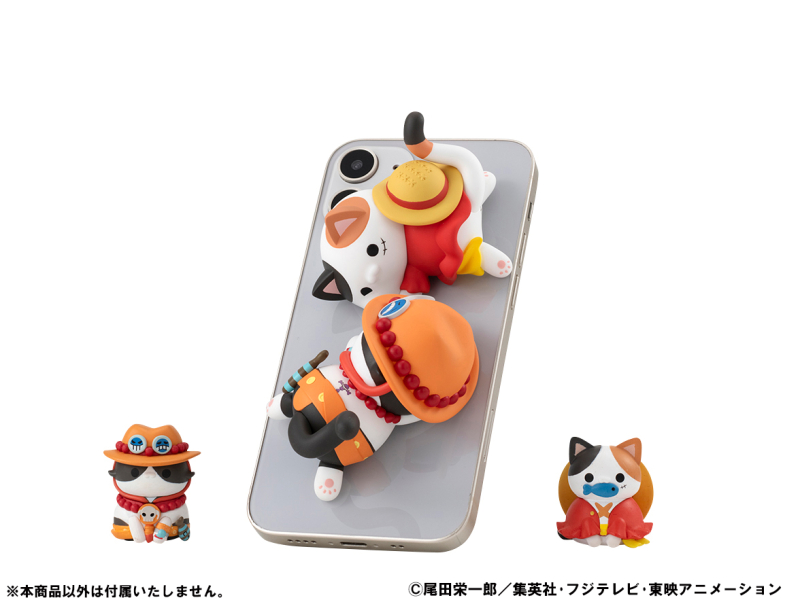  �ް� Ĺ ������Ʈ ���ǽ� ���ǽ��� ����(1�ڽ�8����) [4535123848902]