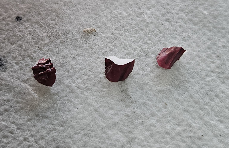 [����ǰ] ����� ��� ������GX - �ſ�Ȳ�� �츮�� [4582766343615]