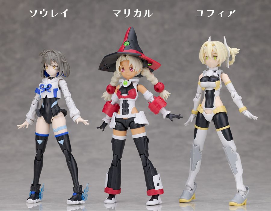 [30MS] SIS-W00 ����Į �÷�C [5���԰�����] [4573102720122]