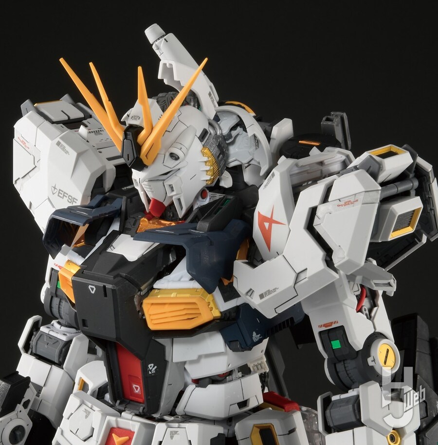 [��������X][1��1����������/�籸�źҰ�][PG UNLEASHED] 1/60 ���Ǵ� [3���԰��Ϸ�/�ǸſϷ�] [4573102691910]