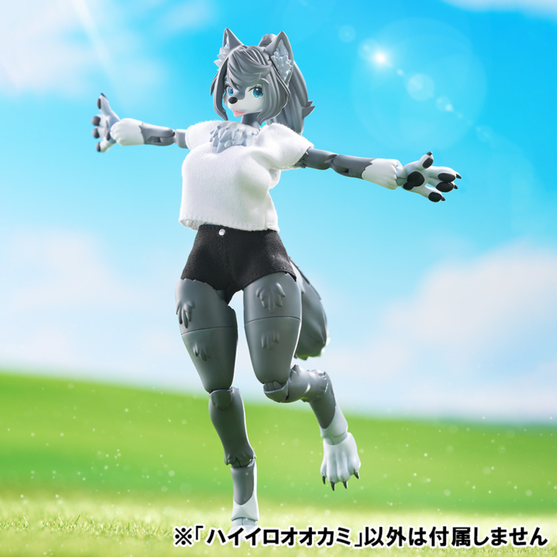 [����] [�ɸ�����] ȸ�� ���� [4905083204399]