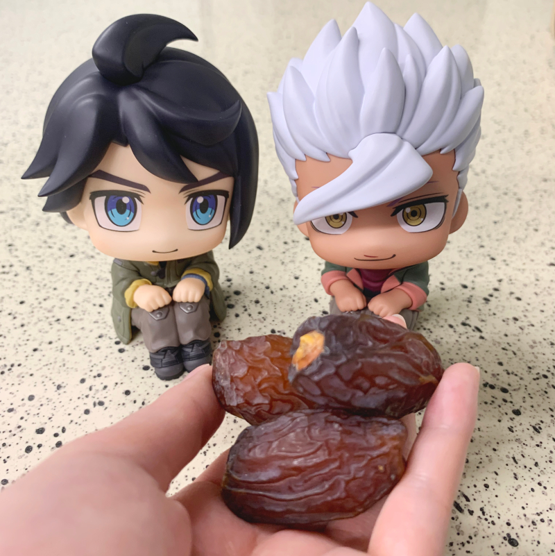 [Ư������] [���] �⵿���� �Ǵ� ö���� ������ - ��ī��Ű ���Ž�/�ð� ����ī ��Ʈ [4535123848520]