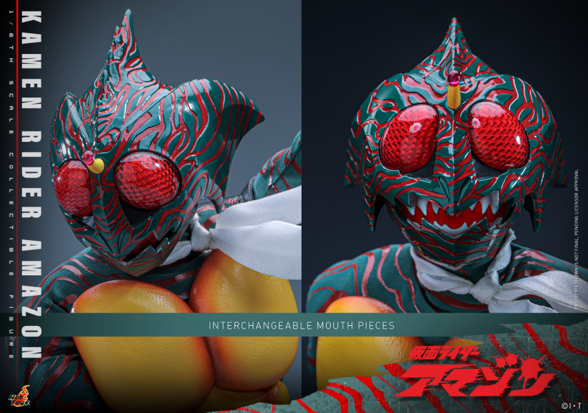 1/6 TMSS184 ������̴� �Ƹ���