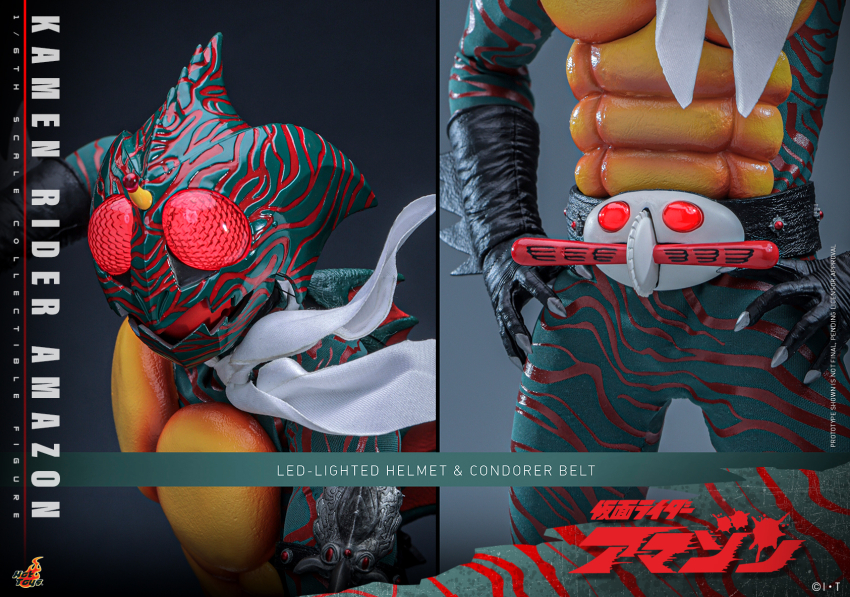 1/6 TMSS184 ������̴� �Ƹ���