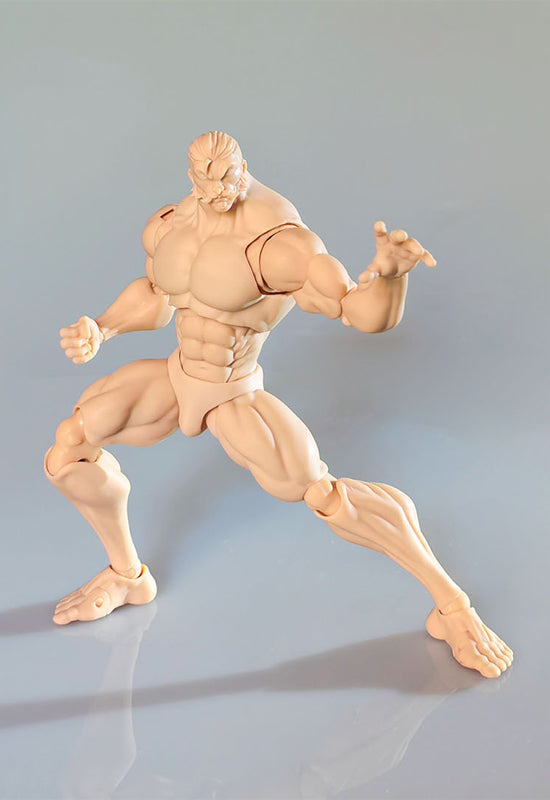 1/12  ������ ���� ��ü KT01B ��� ��Ų [3���԰��Ϸ�] [4589565821313]