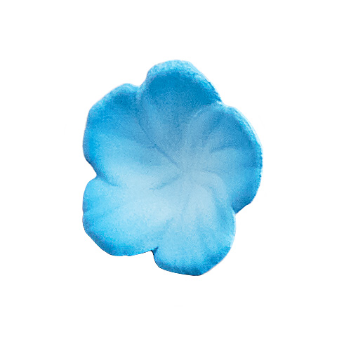 [����] 1/7 �̼������� ����ü �׸��ʶ� [4942330405758]